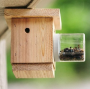 CARPENTER BEE TRAP