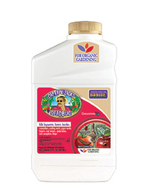 DEADBUG BREW CONCENTRATE 1QT