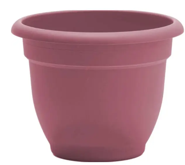 DUSTY ROSE ARIANA PLANTER 8"