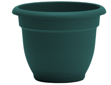 CHARLESTON GRN ARIANA PLANTER 6"