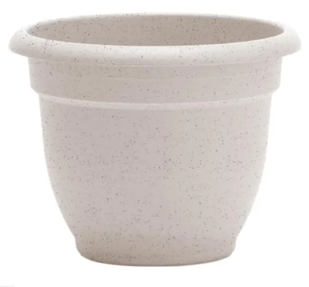 VANILLA BEAN ARIANA PLANTER 8"