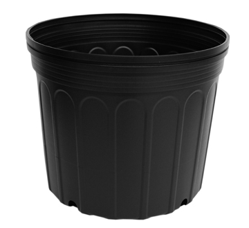 BLACK NURSERY POT 7GAL
