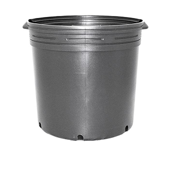 BLACK NURSERY POT 10GAL