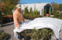N-SULATE FROST BLANKET 12'X250'