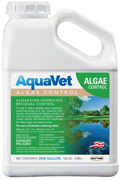 AQUAVET ALGAE CONTROL 1 GAL