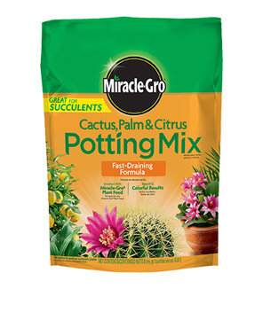 CACTUS PALM&CITRUS POTTING MIX